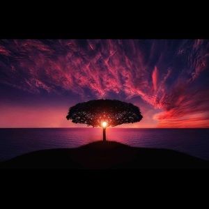 Meet your Posher, Nicholas